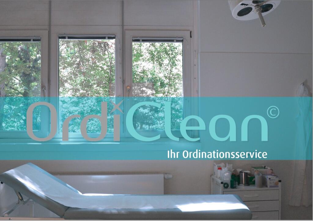 Das Ordi Clean Logo